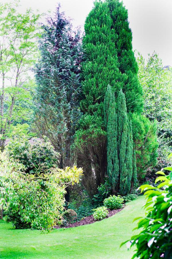 Riverside Stay Gunnislake Exterior photo